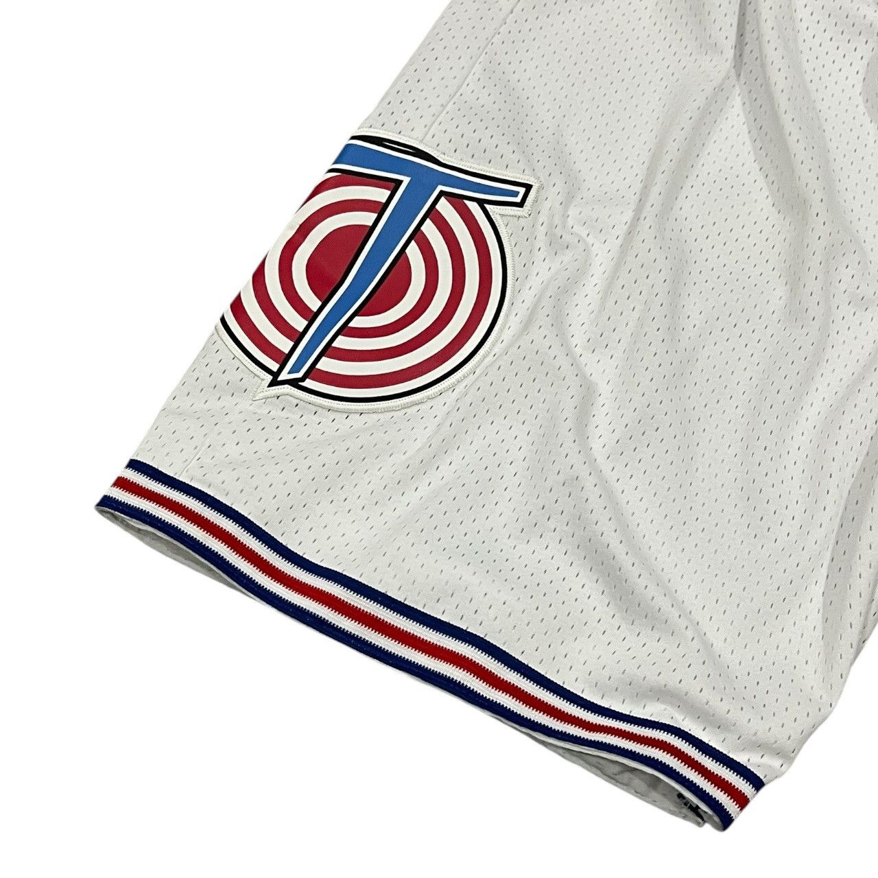 Champion × Vintage Vintage Tune Squad Champion Basketball Shorts Size US 32 / EU 48 - 3 Thumbnail