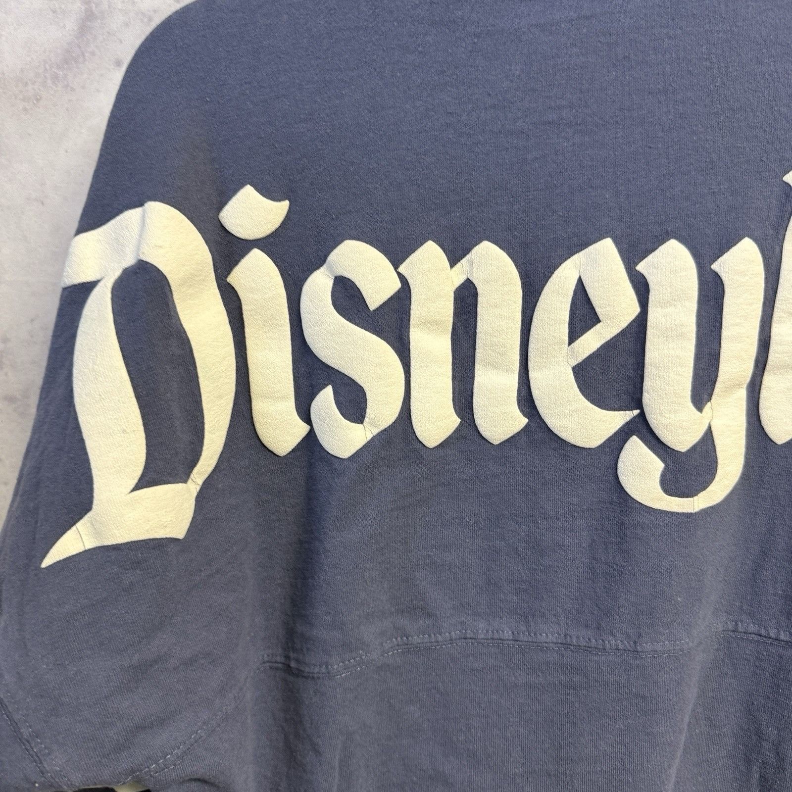 Disney Disneyland Resort Spirit Jersey Adult Small 22x27 Blue Disn Size US S / EU 44-46 / 1 - 5 Thumbnail