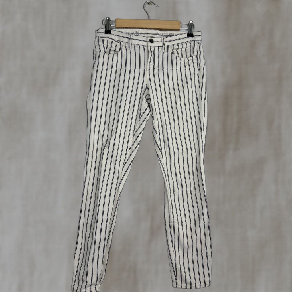 Madewell Madewell striped skinny pants Navy & White Striped Skinny Ankles 30x27 Women Size 27 Regular Inseam 27 Size 27" / US 4 / IT 40 - 1 Thumbnail