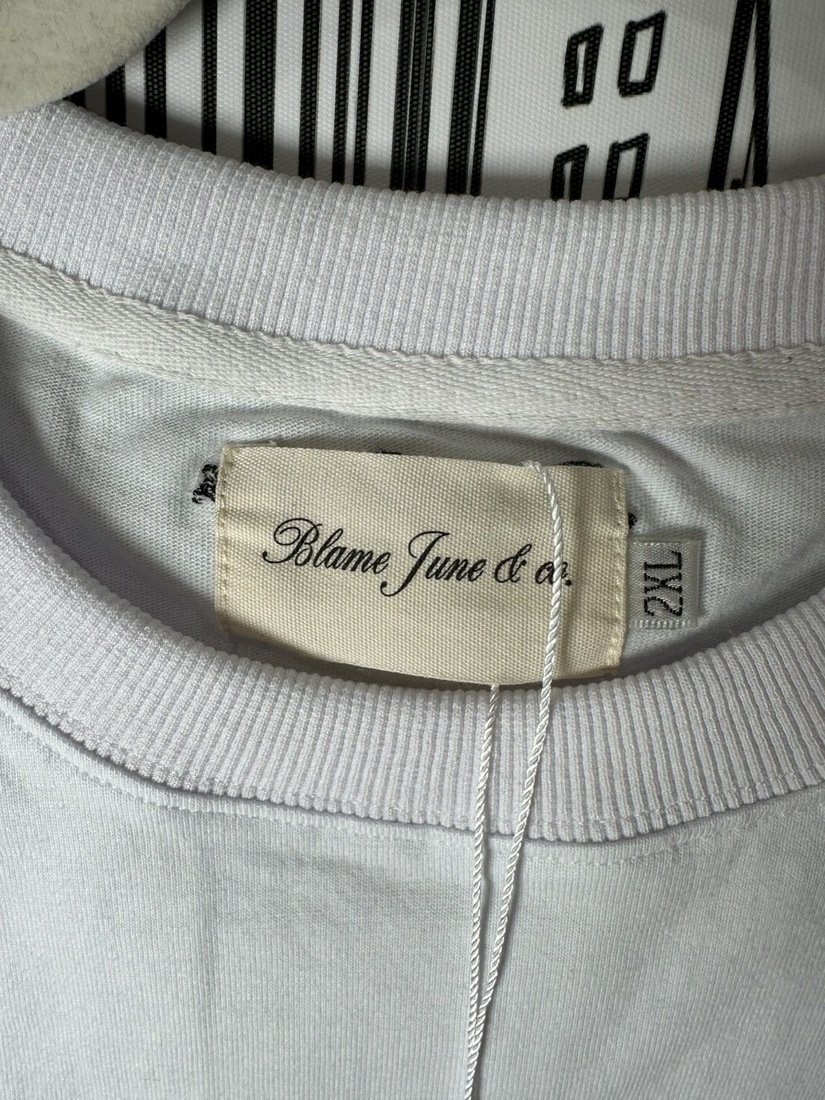 Other Blame June & Co. Basic T-Shirt White 2XL Size US XXL / EU 58 / 5 - 8 Thumbnail