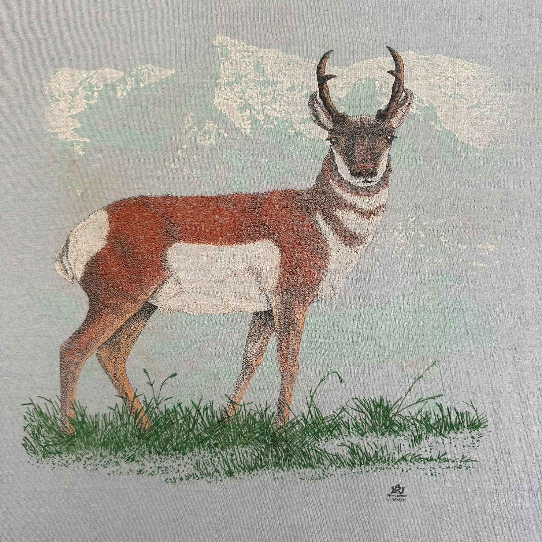 Vintage Vintage 80s Minnesota Nature T-Shirt Gorpcore Single Stitch Size US XL / EU 56 / 4 - 2 Thumbnail