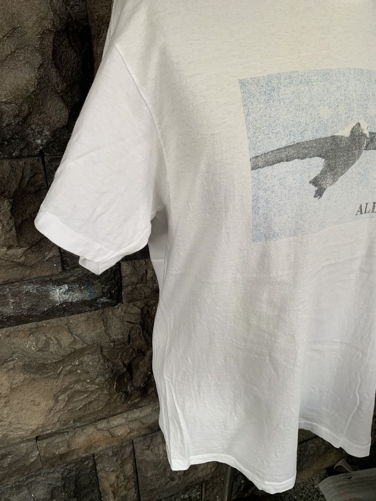 Arts & Science Vintage 90s Albatross Graphics Art / Magazine Style T shirt Size US L / EU 52-54 / 3 - 5 Thumbnail