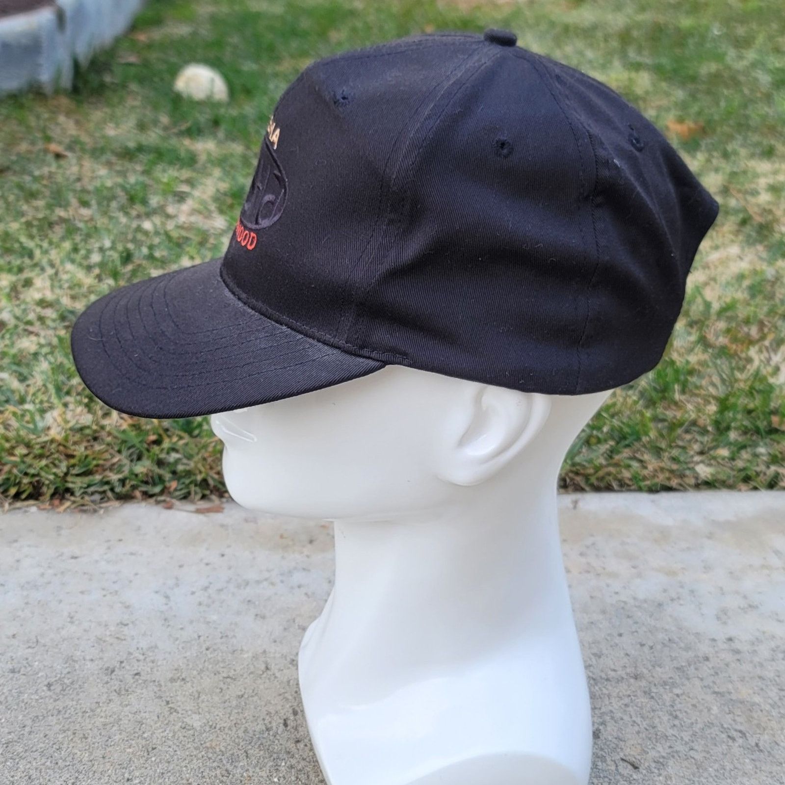 The Unbranded Brand Trisha Yearwood Concert Snapback Hat Country Music Size ONE SIZE - 3 Thumbnail