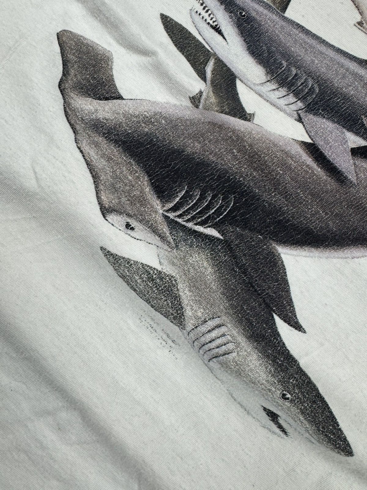 Vintage Vintage 90s Sharks marine life print animals graphic tee Size US S / EU 44-46 / 1 - 6 Thumbnail