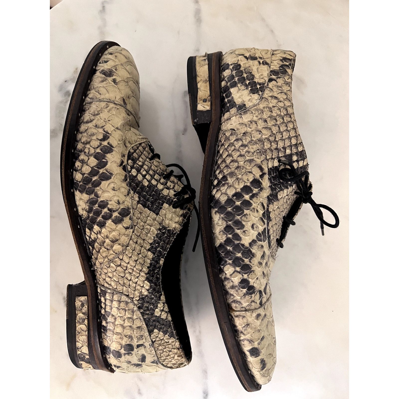 FREDA SALVADOR Freda Salvador "WISH" Lace-up Oxford Snake-embossed Leather Size US 7 / IT 37 - 5 Thumbnail