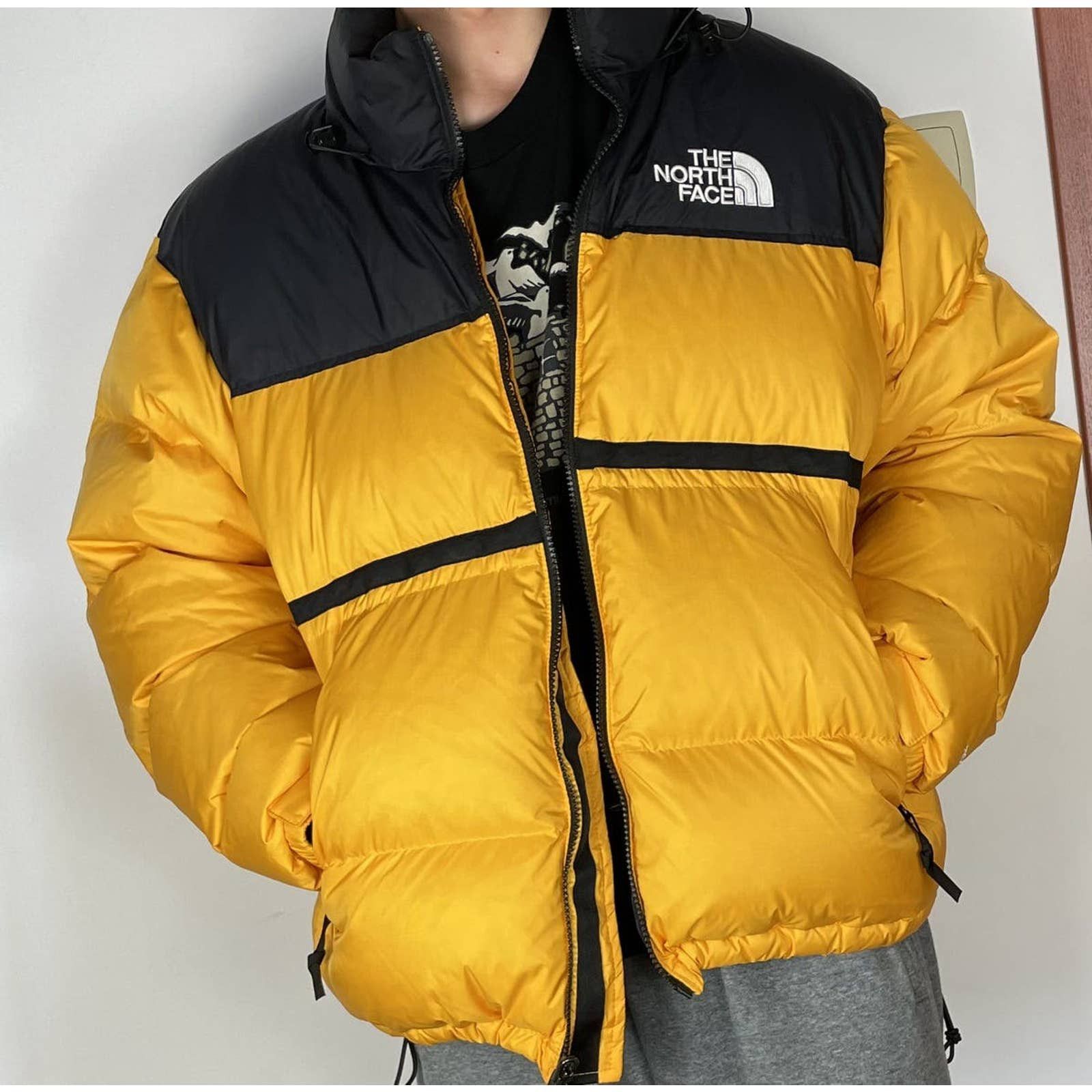 The North Face The North Face Nuptse 700 Puffer Jacket Size US L / EU 52-54 / 3 - 3 Thumbnail