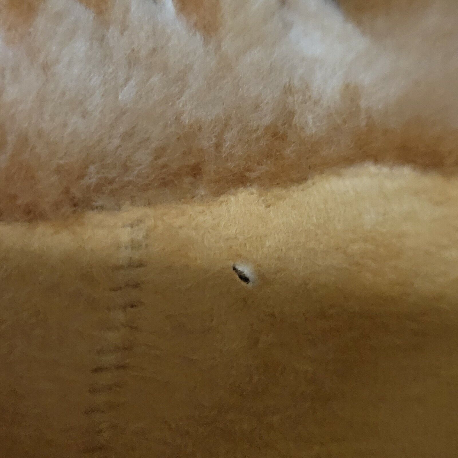 Other Christia Luxurious Italian Shearling Reversible Coat Size XL / US 12-14 / IT 48-50 - 10 Thumbnail