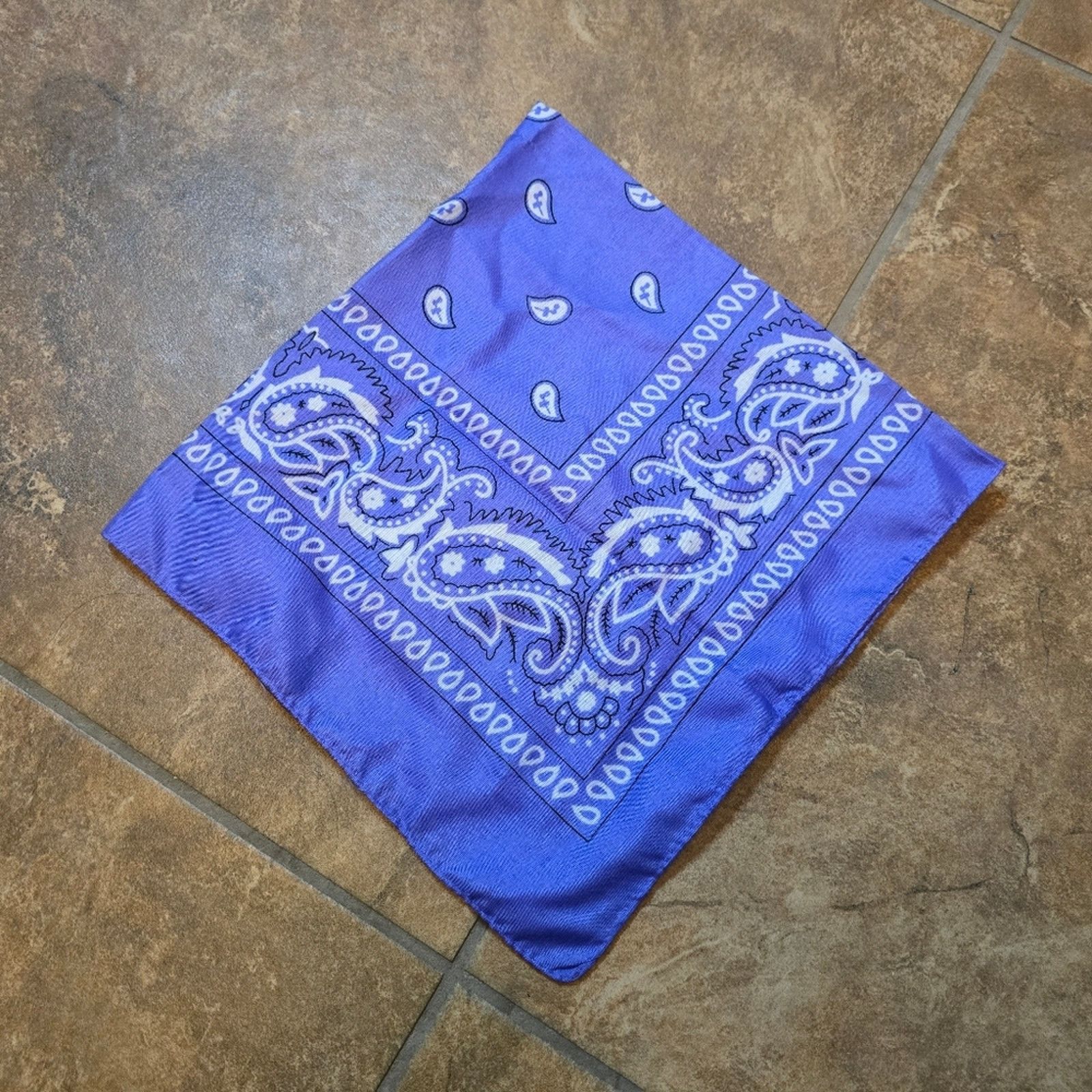 Other Iris Paisley Printed Classic Bandana Size ONE SIZE - 1 Thumbnail