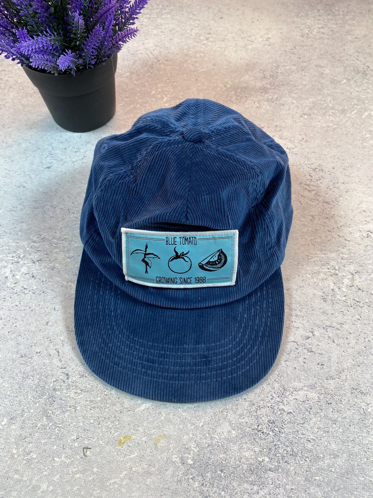 Other Blue Tomato Skate Merch Cap Size ONE SIZE - 2 Thumbnail