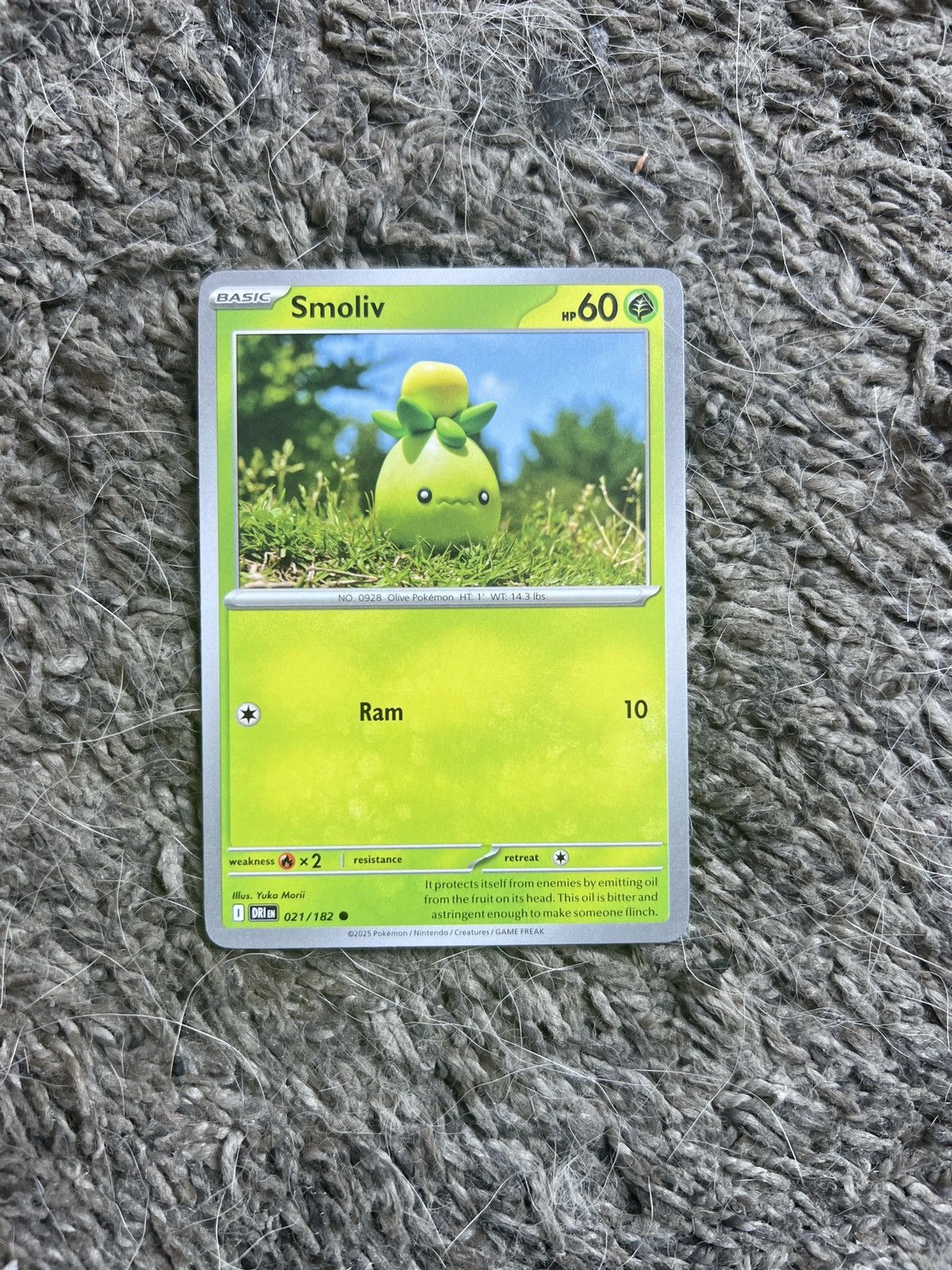 Pokemon 2025 Pokémon Smoliv Basic Card Size ONE SIZE - 1 Thumbnail