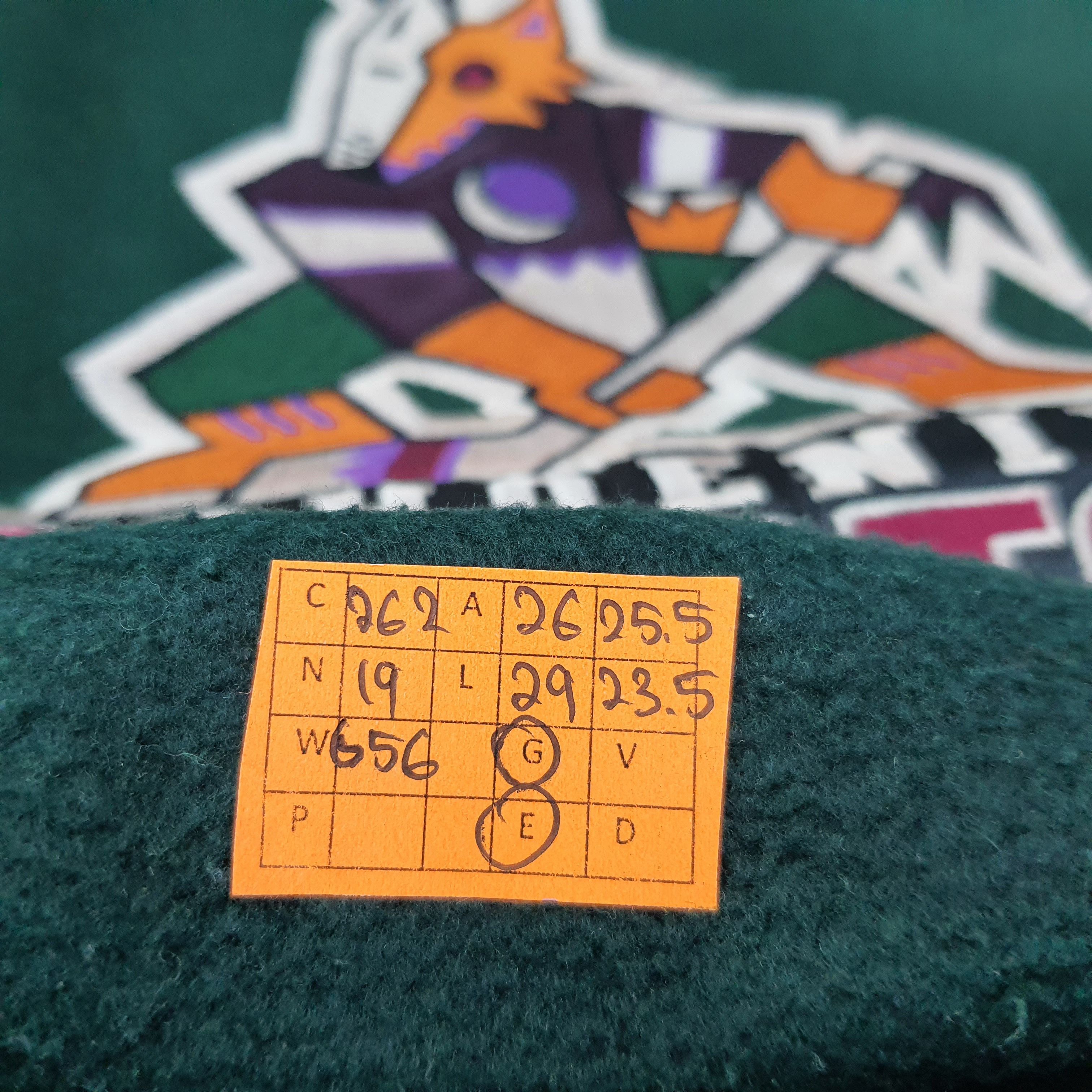 Vintage Vintage Phoenix Arizona Coyotes NHL Sweatshirt C262N19 Size US XL / EU 56 / 4 - 7 Thumbnail