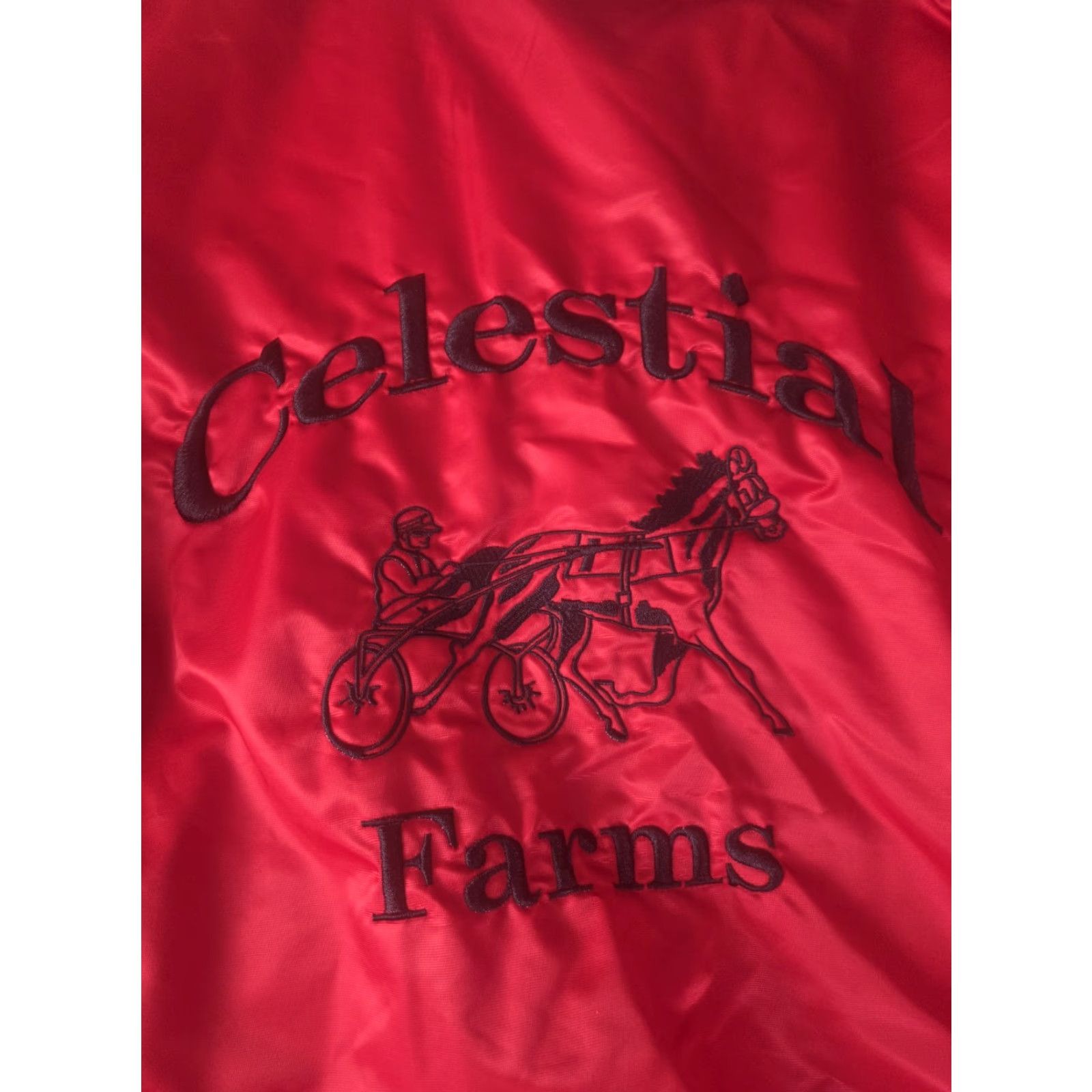 Vintage VINTAGE Celestial Farms Harness Racing Satin Jacket 3XL Red Men's Horse Windbreaker Satin Jacket Size US XXL / EU 58 / 5 - 6 Thumbnail
