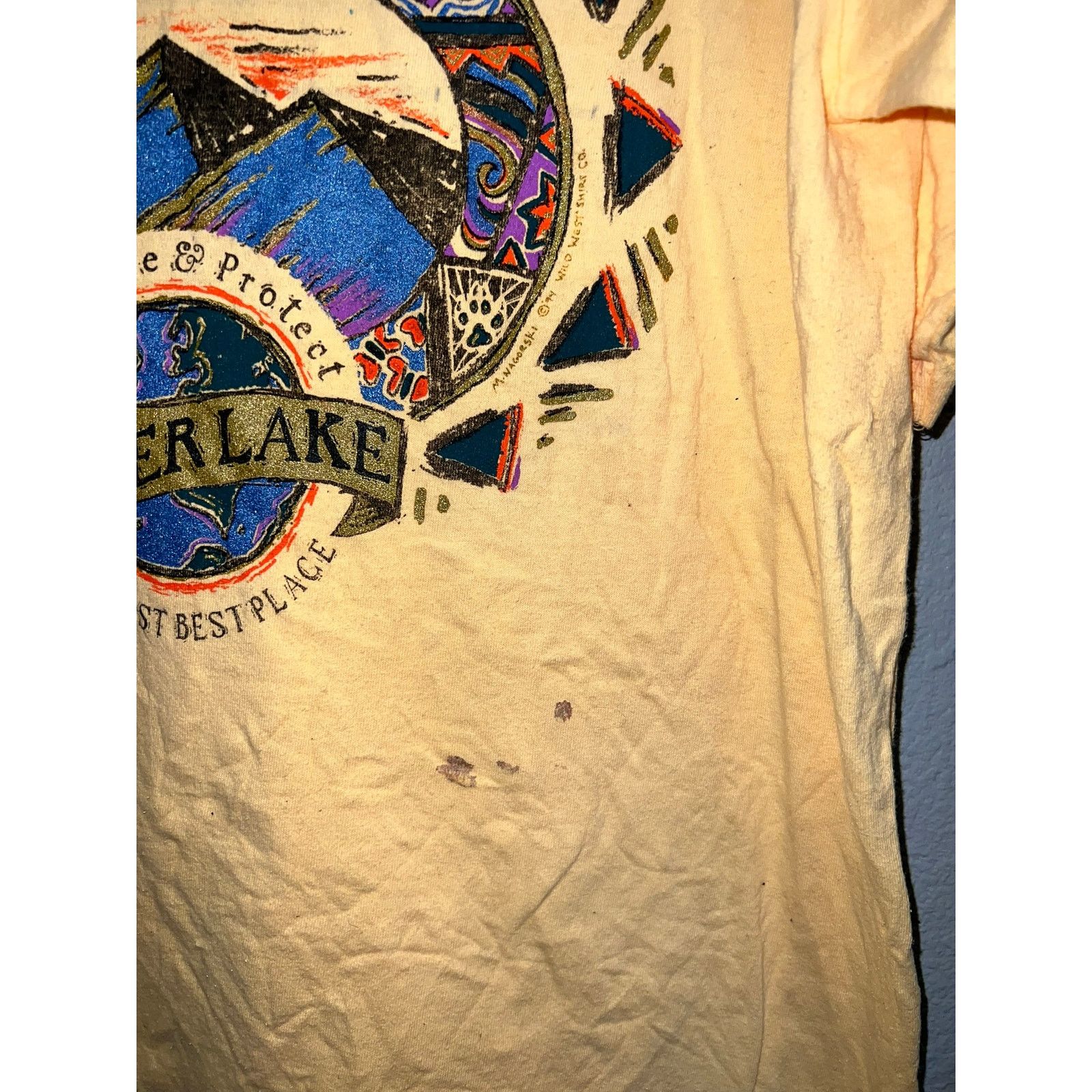 Vintage Vintage Shaver Lake Shirt Preserve And Protect Tee 90s L Size US L / EU 52-54 / 3 - 5 Thumbnail
