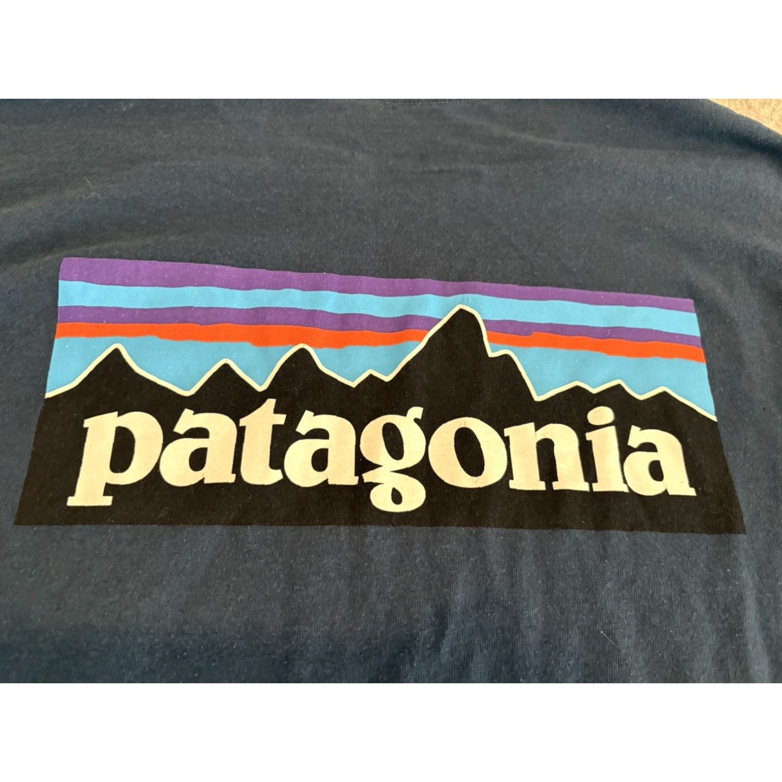 Patagonia Patagonia Big Logo Blue Tee Shirt Size Medium Size US M / EU 48-50 / 2 - 2 Thumbnail