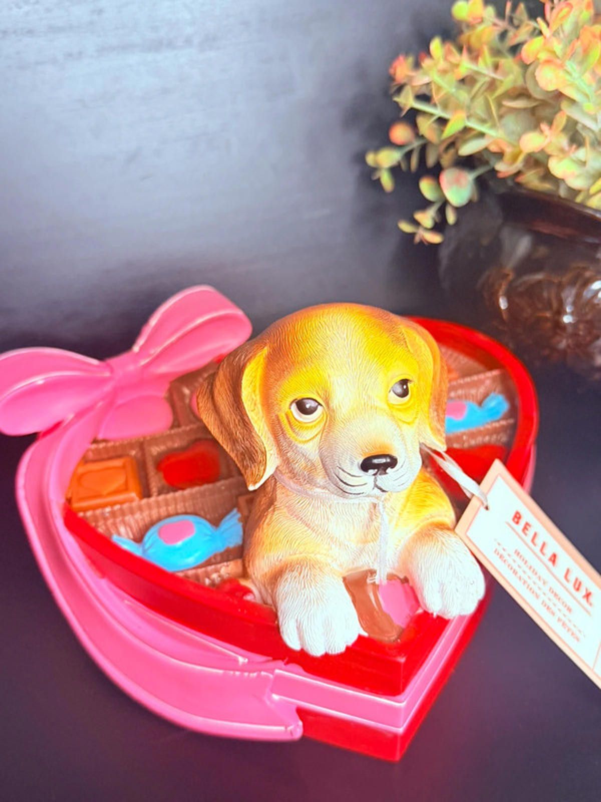 Other Bella Lux Valentine Puppy Chocolate Box Heart Decor NWT Size ONE SIZE - 2 Thumbnail