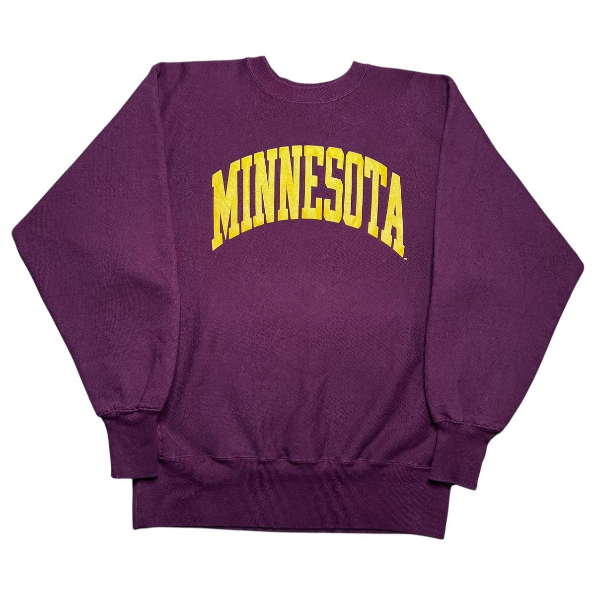 Champion 2000s Minnesota Gophers Champion Reverse Weave Sweatshirt Size US XL / EU 56 / 4 - 1 Thumbnail