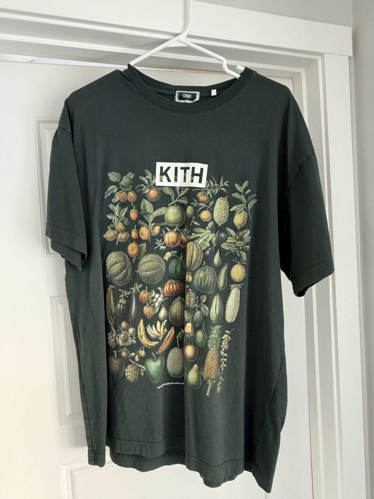 Kith KITH Fruits and Vegetables Box Logo Tee Size L Size US L / EU 52-54 / 3 - 1 Thumbnail
