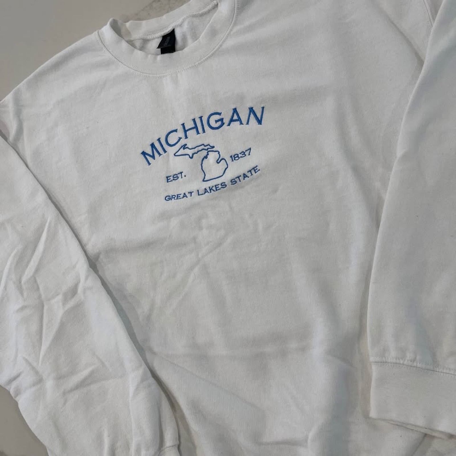 Gildan Michigan Great Lakes State Crewneck Sweatshirt Adult Large Size L / US 10 / IT 46 - 2 Thumbnail