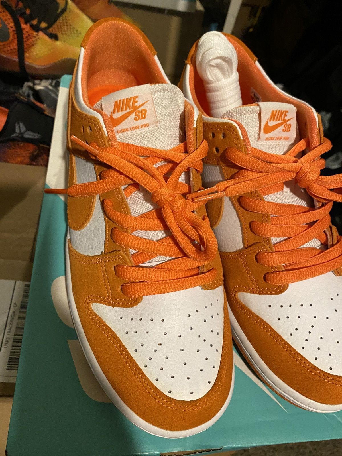 Nike Conquer cancer foundation ASCO x SB Zoom Dunk Low Pro Size US 10.5 / EU 43-44 - 3 Thumbnail