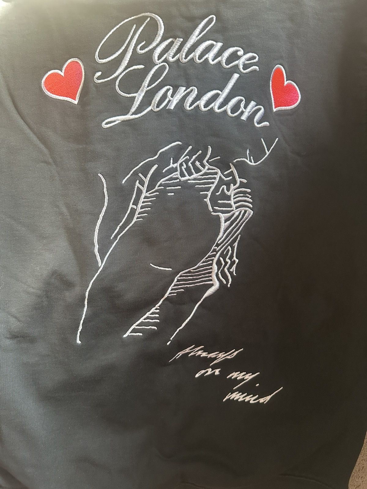 Palace Palace Hoodie Size US M / EU 48-50 / 2 - 5 Thumbnail
