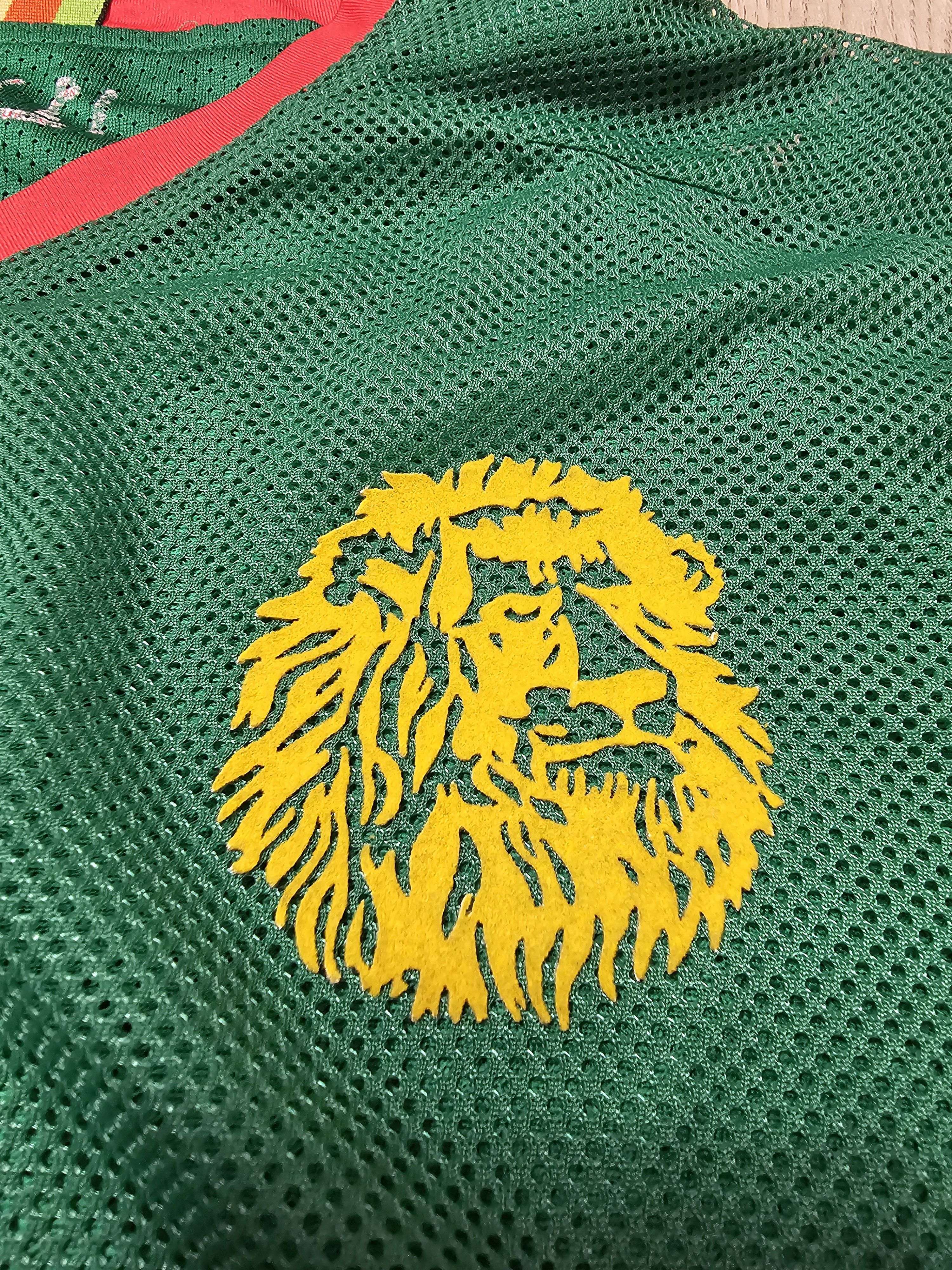 Puma CAMEROON 2008 2010 HOME FOOTBALL SHIRT SOCCER JERSEY Size US L / EU 52-54 / 3 - 5 Thumbnail