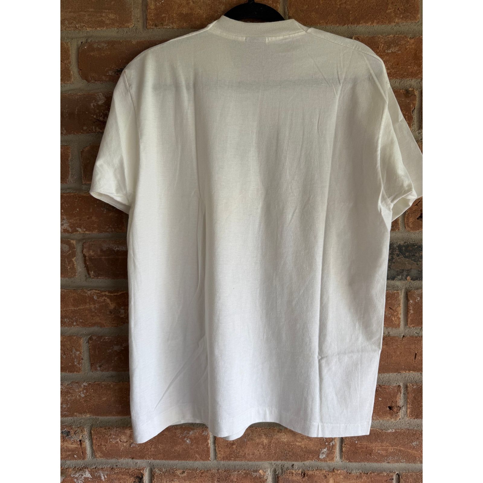 Fruit Of The Loom 1994 Comdisco Picnic Tee Single Stitch USA White Large Size US L / EU 52-54 / 3 - 5 Thumbnail
