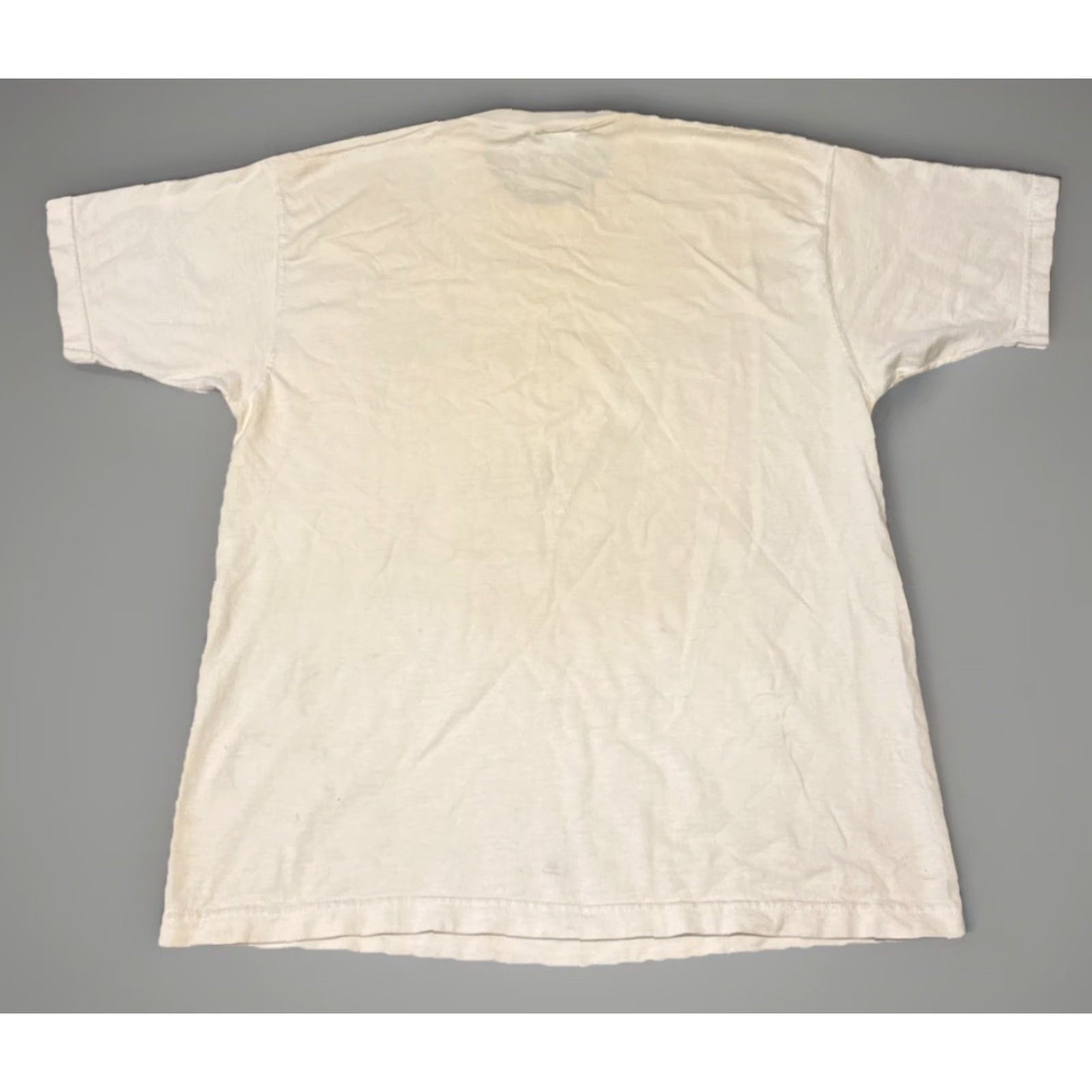 Endless VINTAGE IDAHO Endless Winter Sports Snowboard Ski T-Shirt 90s Large Skiing Mens White L Size US L / EU 52-54 / 3 - 2 Thumbnail