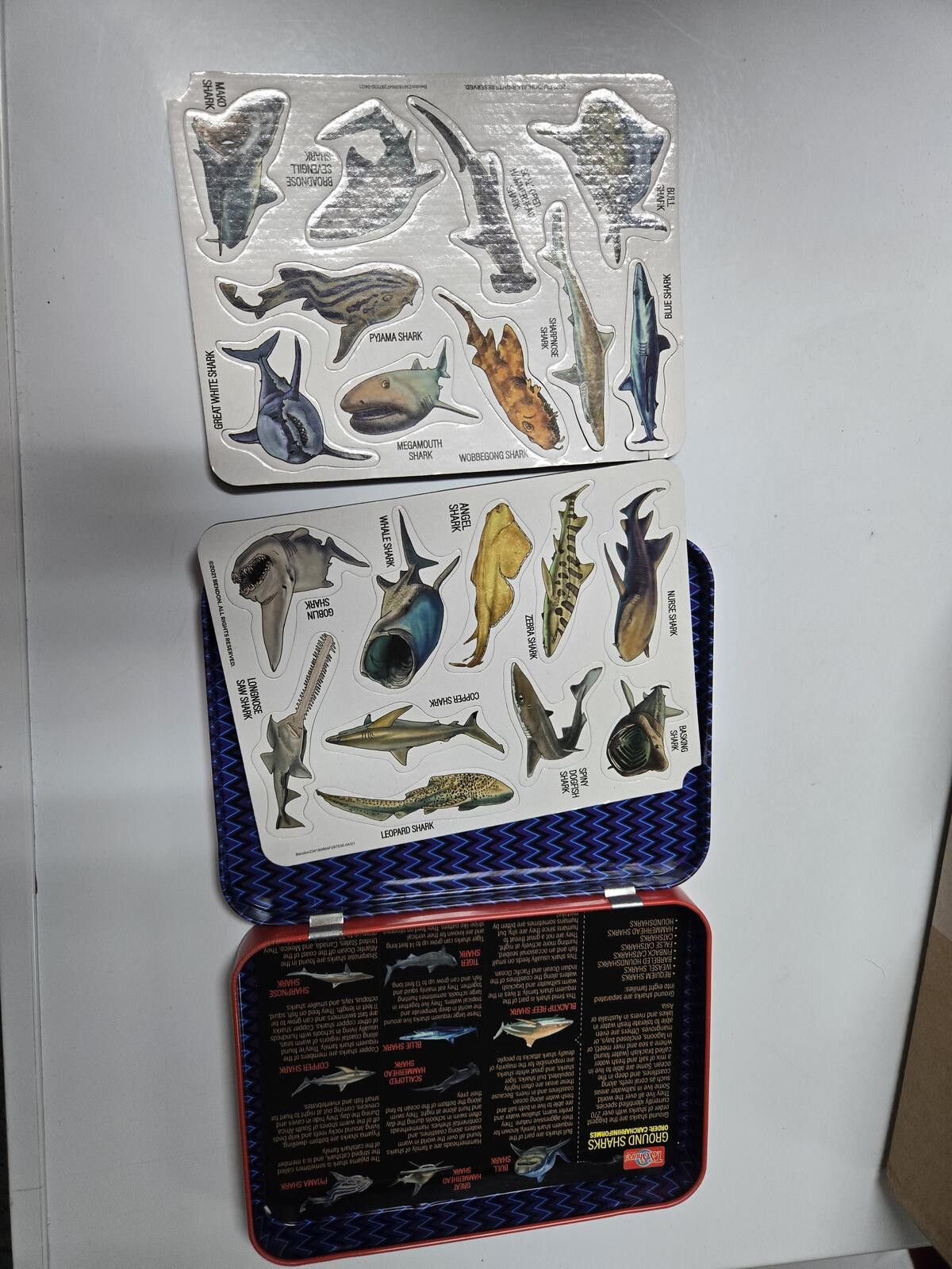 Other STEM Shark Human Skeleton Magnetic Kits TS Sure Educational Size ONE SIZE - 2 Thumbnail