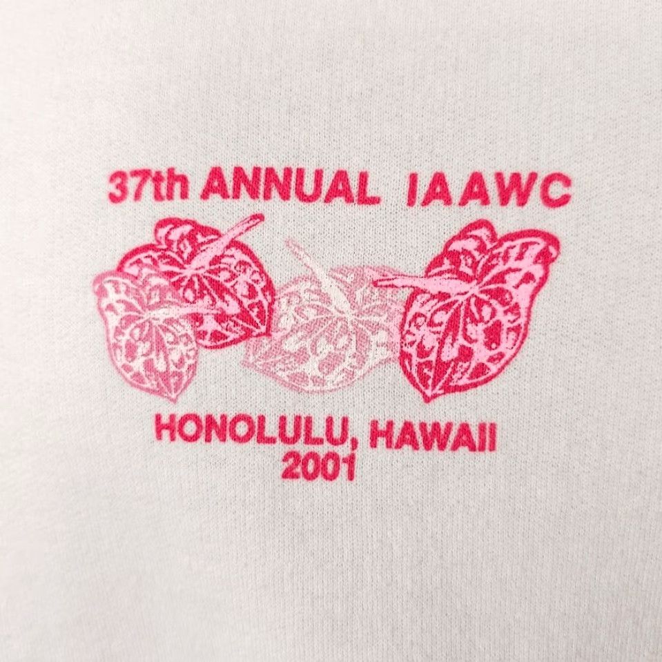 Hanes VINTAGE Hanes Sweatshirt Womens/Mens Size L White IAAWC 2001 Y2K Alcoholics Anonymous Language Of The Heart Will Be Spoken Here Size L / US 10 / IT 46 - 3 Thumbnail