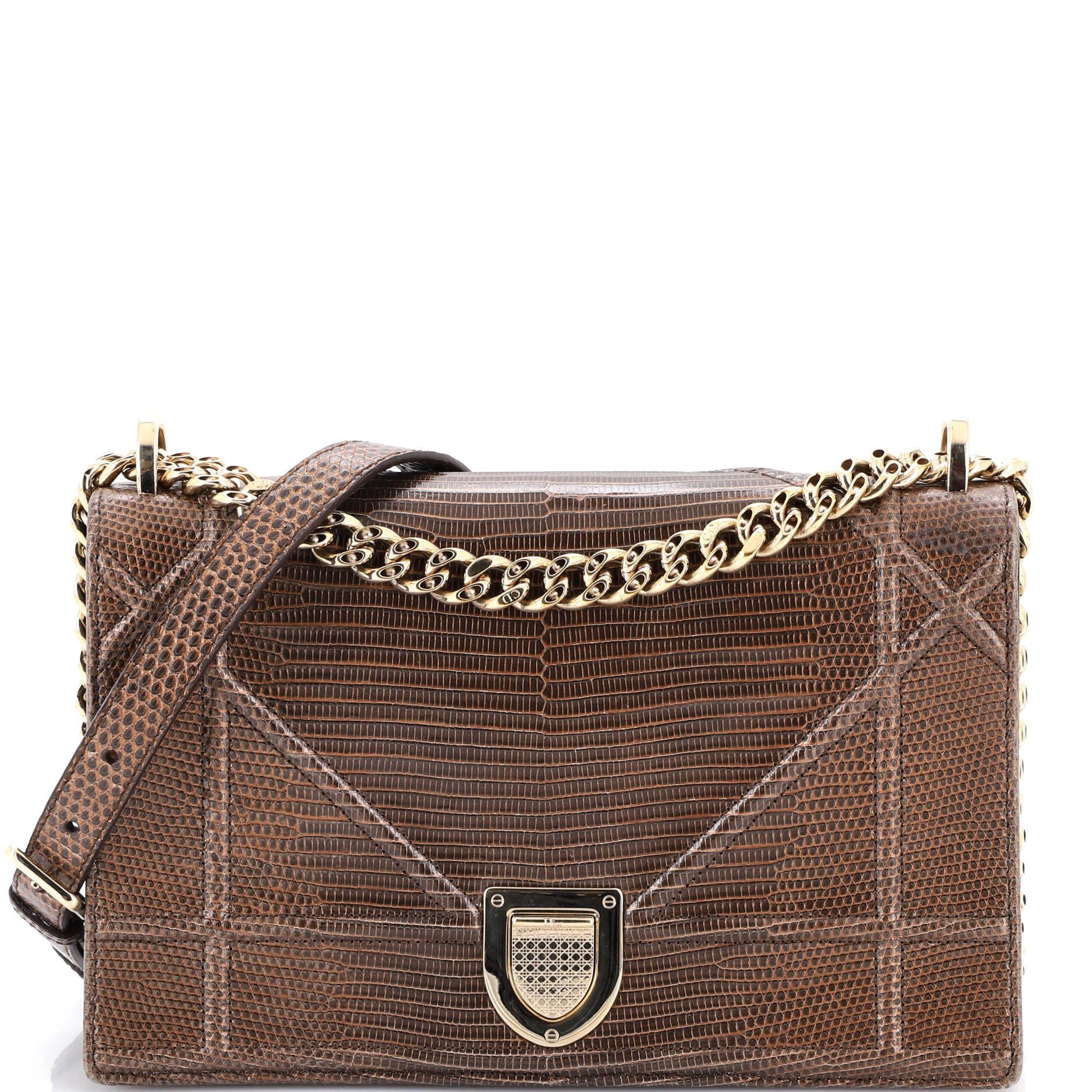 Dior Diorama Flap Bag Size ONE SIZE - 1 Thumbnail