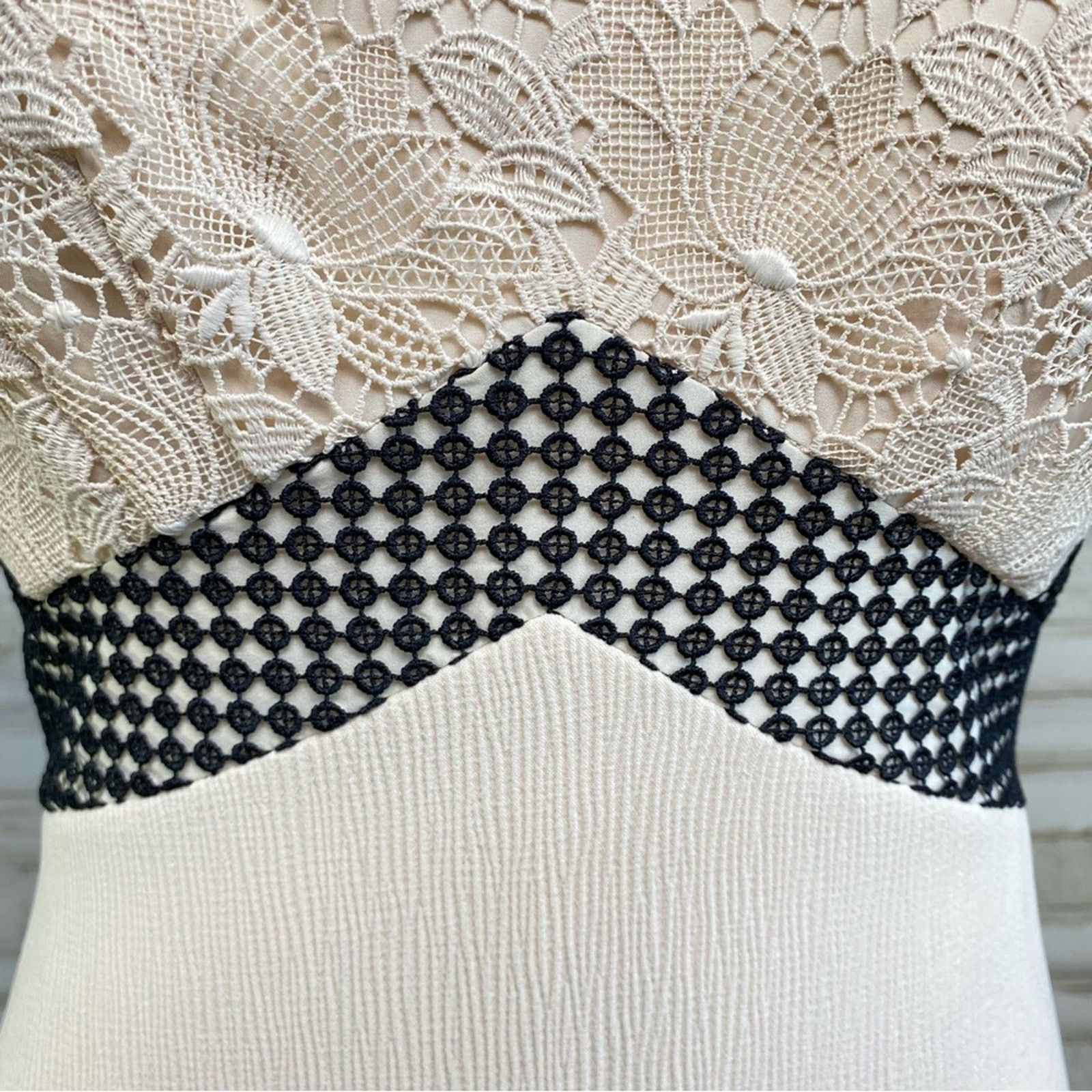 Club Monaco Club Monaco Zulandah Lace Crochet Dress Size 4 Cream Black Size S / US 4 / IT 40 - 5 Thumbnail