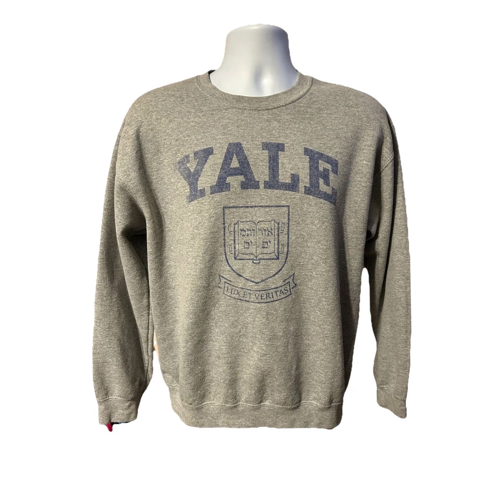Spell Yale University Pullover Sweatshirt M Gray Logo Front Spell out 2000s Yale University Yale Sports Ivy League Mens Womens Unisex Adults Regular Size M Size US M / EU 48-50 / 2 - 2 Thumbnail