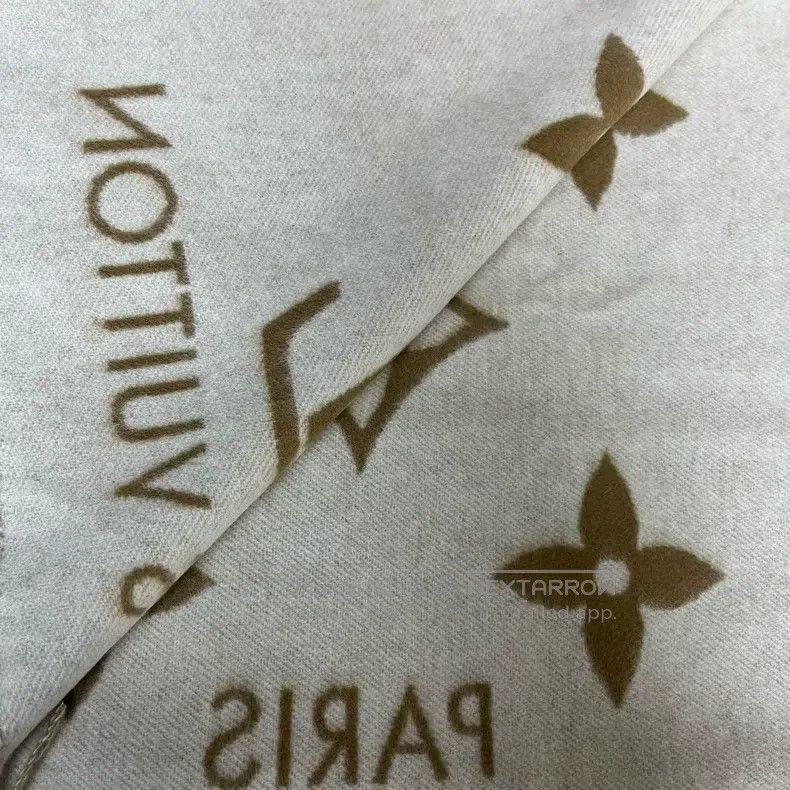 Louis Vuitton Louis Vuitton Creamy/earthy fringed jacquard plain cashmer Size ONE SIZE - 4 Thumbnail