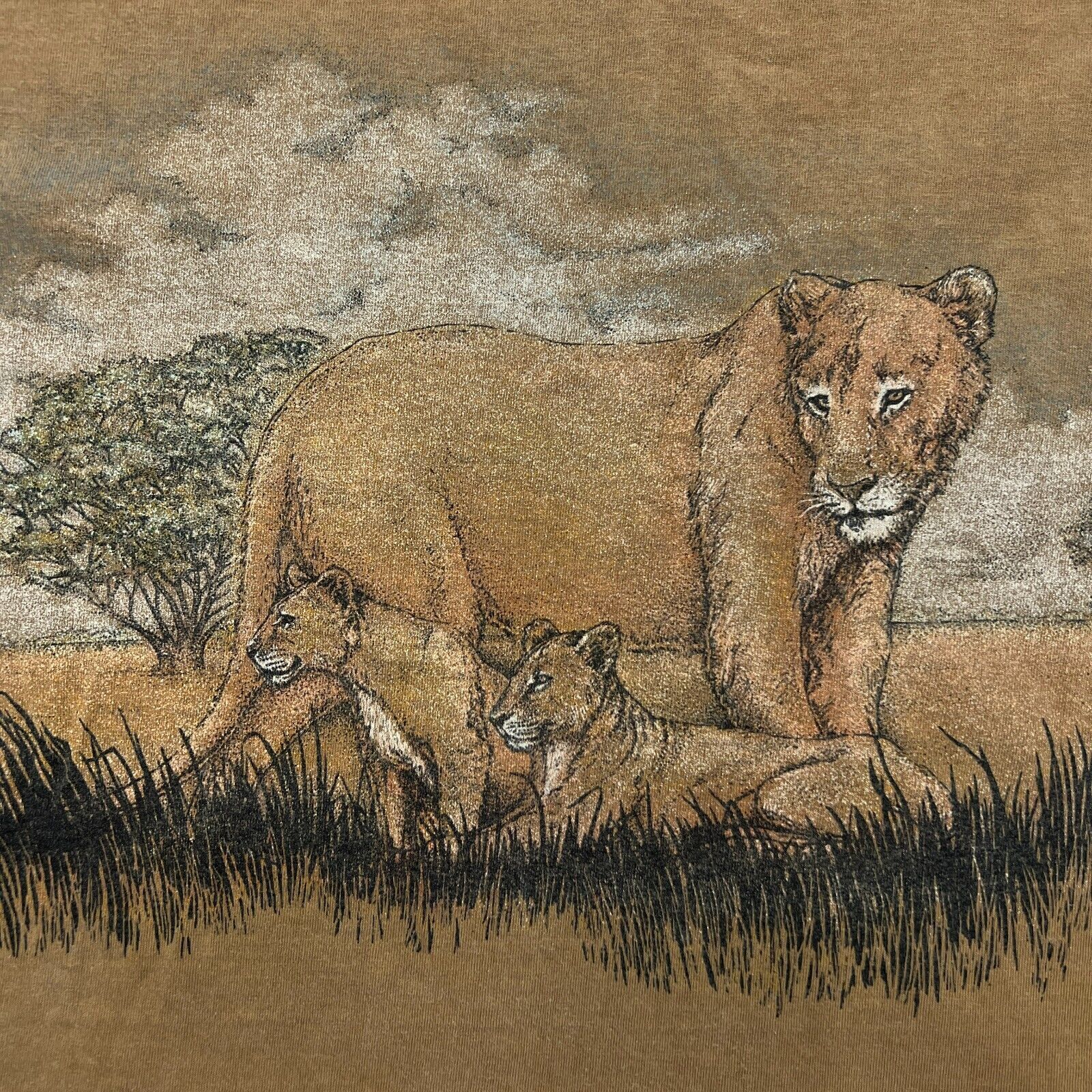 Vintage 90s Lion T Shirt Faded Single Stitched Nature Animal Tee Size US L / EU 52-54 / 3 - 7 Thumbnail