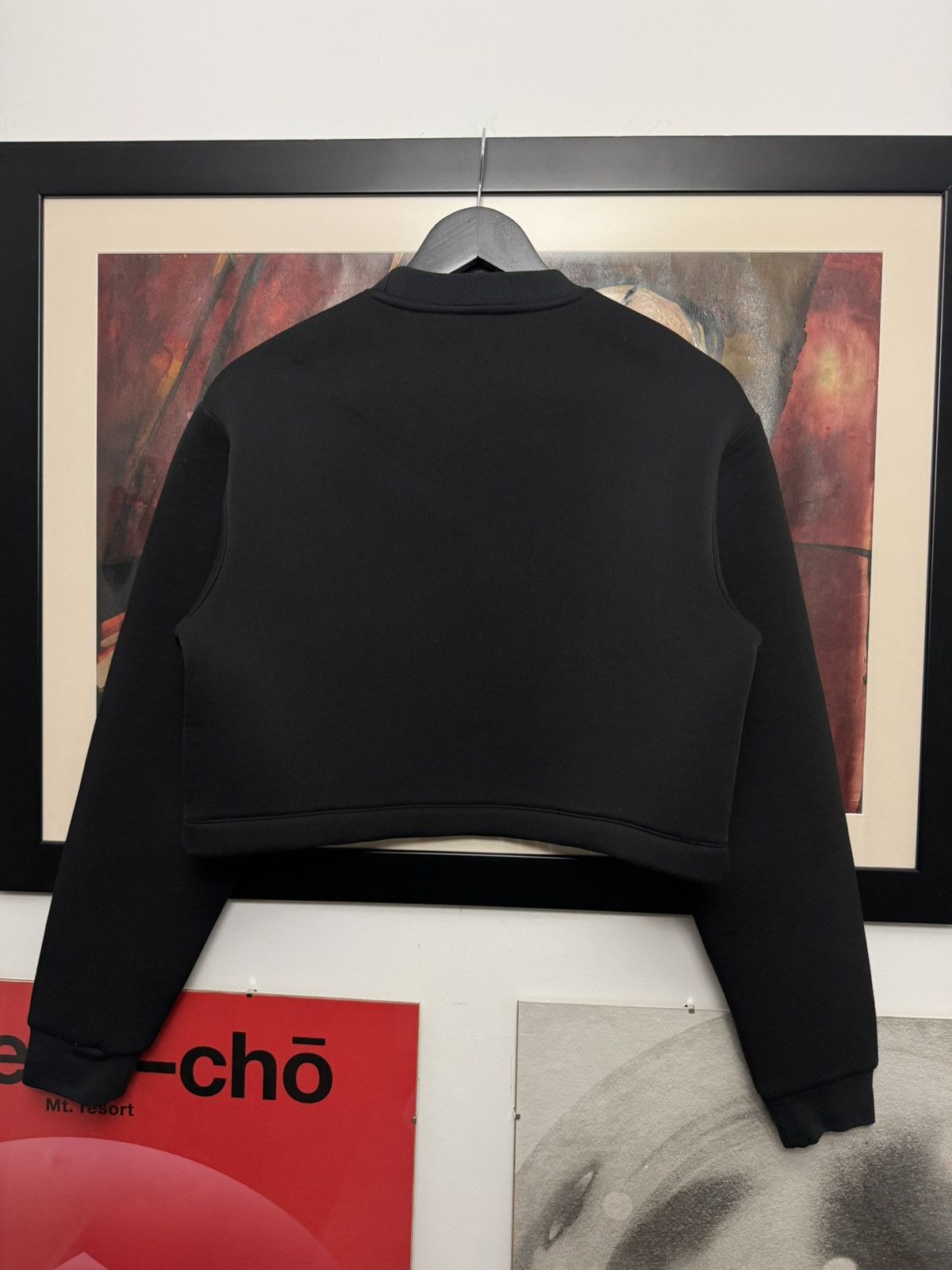 Alexander Wang Alexander Wang x H&M Cropped Sweatshirt Oversize Boxy Rare Size S / US 4 / IT 40 - 2 Thumbnail