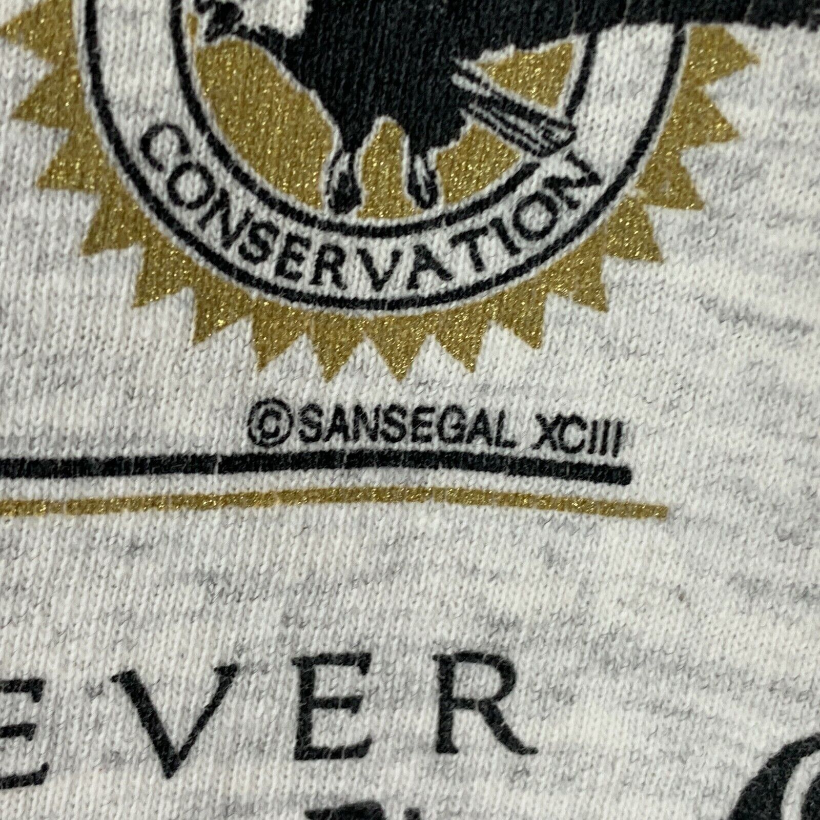 Vintage Vintage Bald Eagle Extinction T Shirt Mens Medium Gray 90s Size US M / EU 48-50 / 2 - 6 Thumbnail