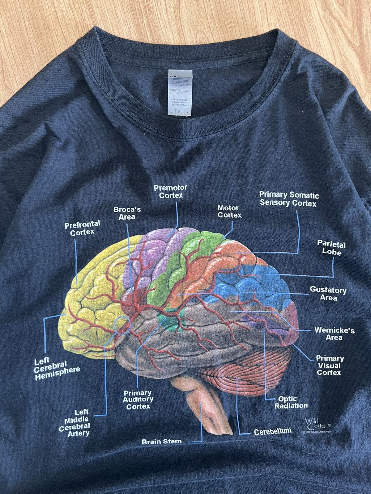 Gildan Vintage Brain Anatomy Size US L / EU 52-54 / 3 - 3 Thumbnail