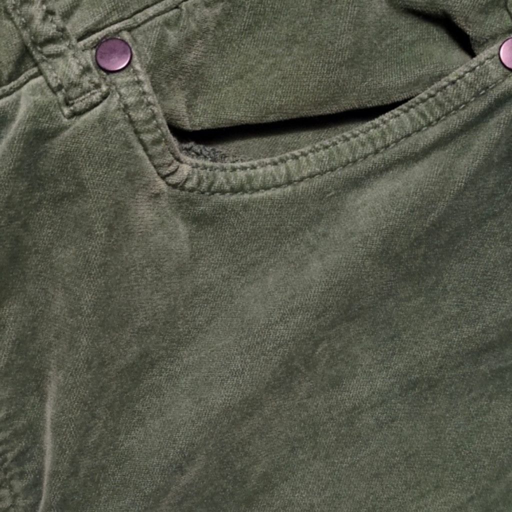 J.McLaughlin J. McLaughlin Green Velour Pants Size 8 Size 30" / US 8 / IT 44 - 2 Thumbnail