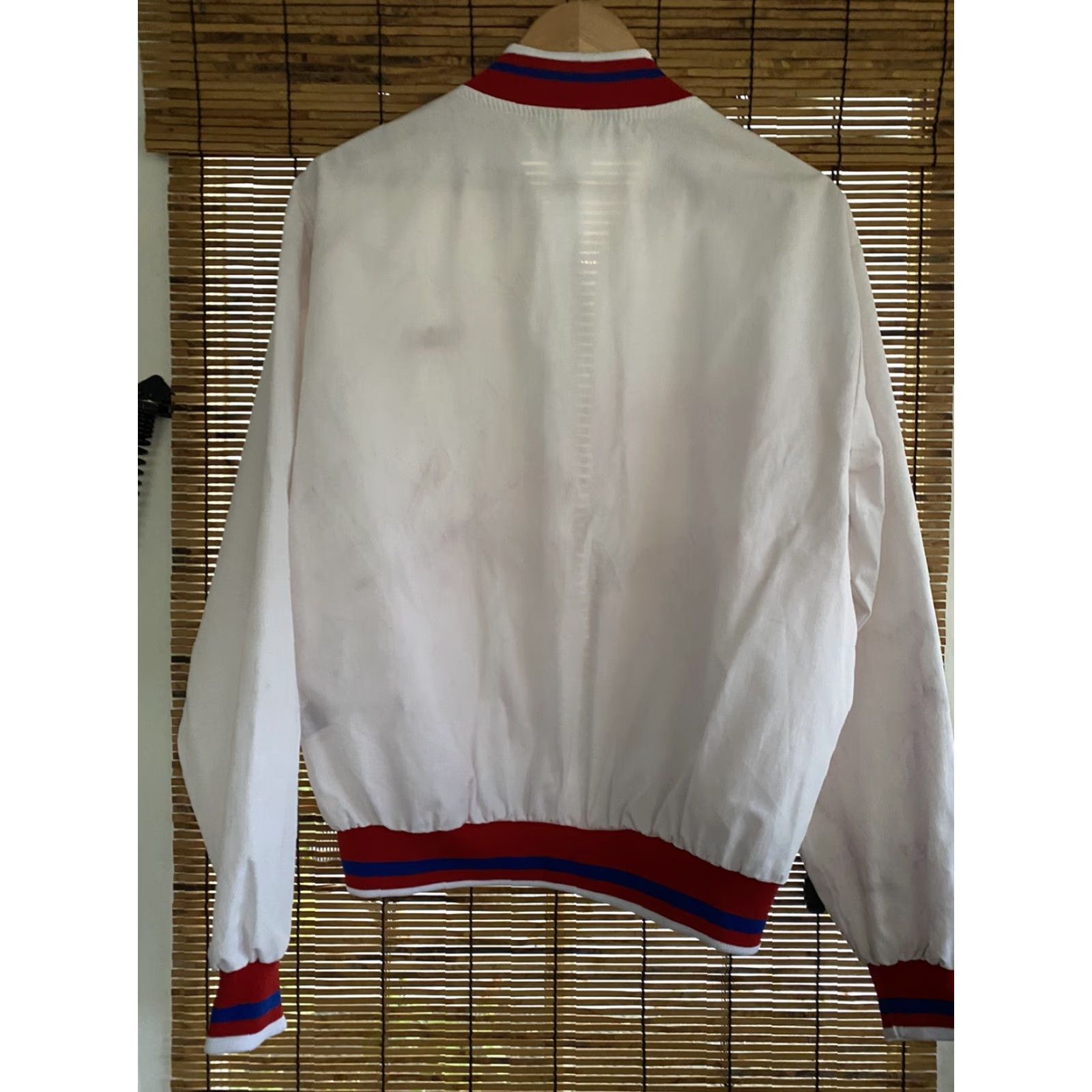 Vintage VINTAGE Dekalb Pfizer Genetics Jacket Windbreaker Trucker Farm Seed Corn Swingster L Mens White Zip Size US L / EU 52-54 / 3 - 2 Thumbnail