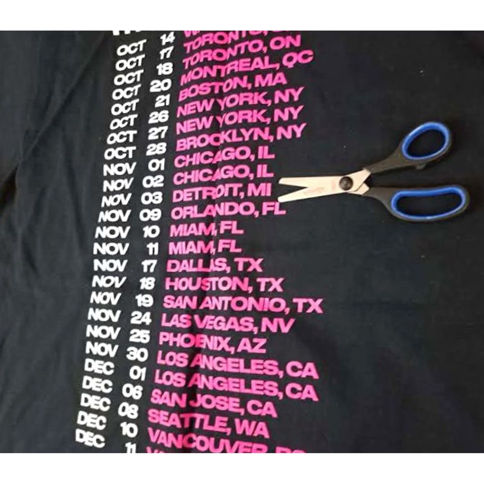Vintage VINTAGE timeless Shirt L Pit Bull Trilogy Tour Concert Detroit Show Size US L / EU 52-54 / 3 - 6 Thumbnail