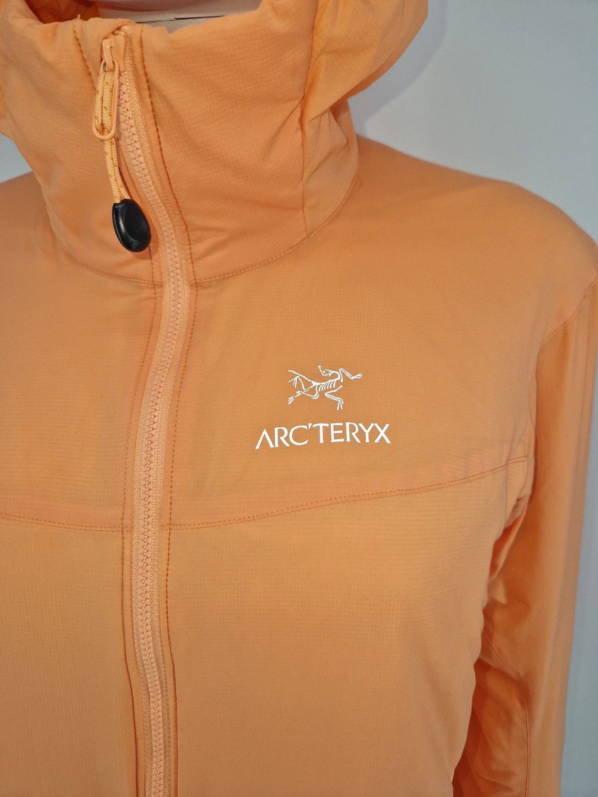 Arc'teryx Arc'teryx Atom LT Hooded Insulated Jacket Size M / US 6-8 / IT 42-44 - 3 Thumbnail