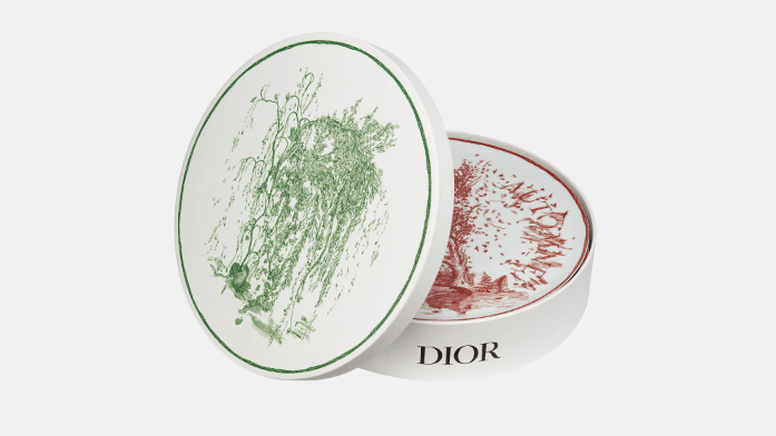 o1bcso1str0324 4 Set Dinner Plates in Multicolor