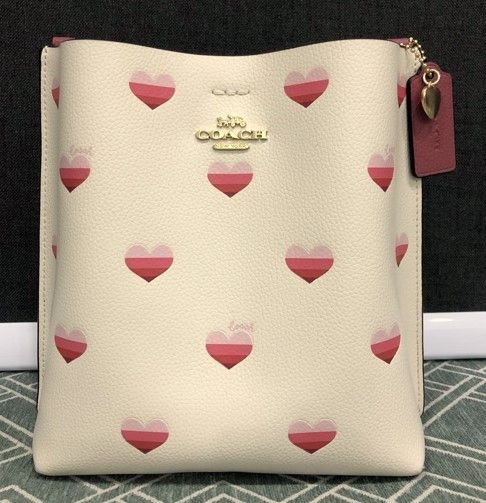 Coach Mollie Bucket Bag 22 With Stripe Heart