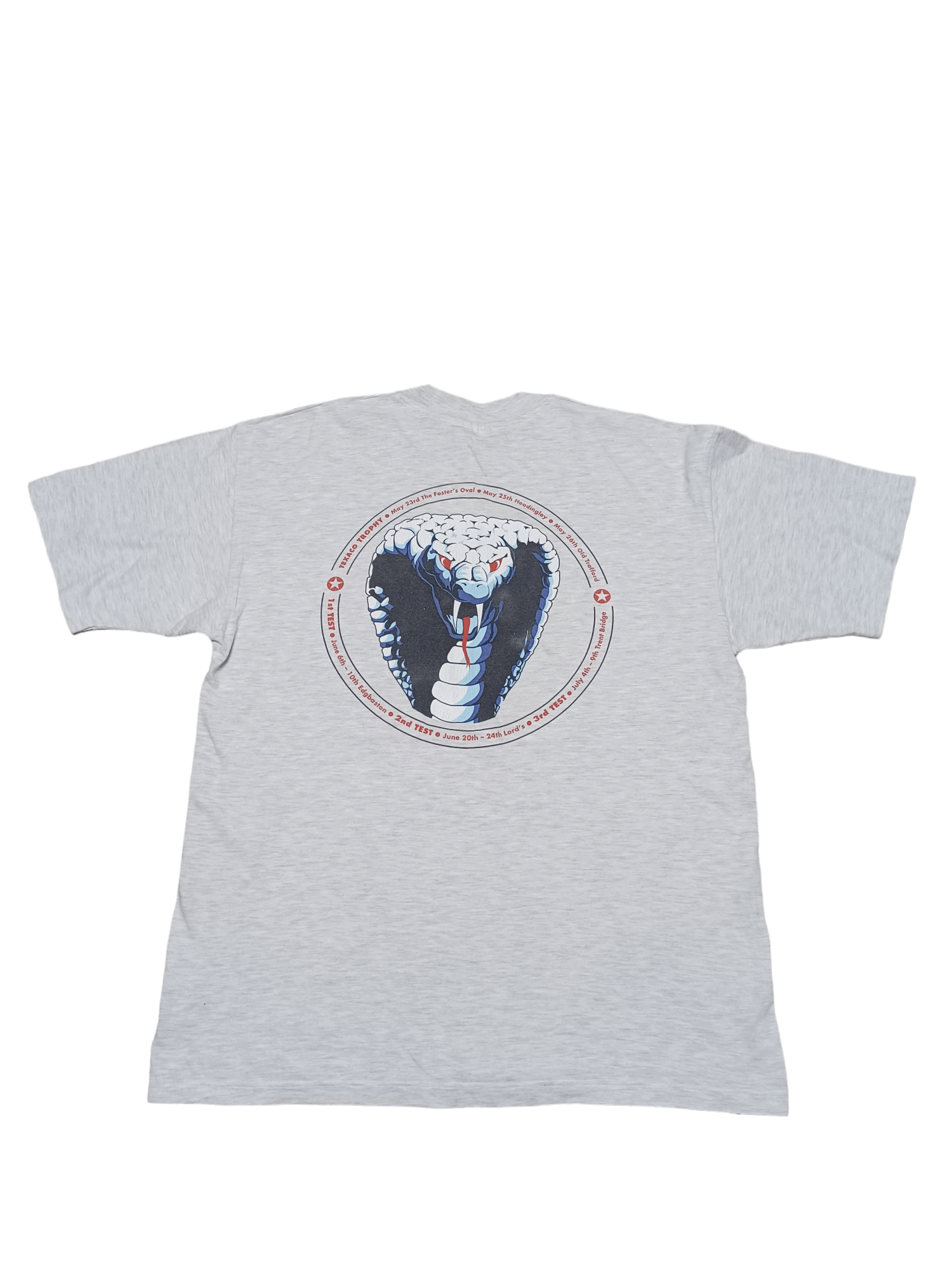 Hanes 1996 FANTASTIC BIG PRINT CRICKET ENGLAND INDIA HANES RAR TEE Size US L / EU 52-54 / 3 - 1 Thumbnail