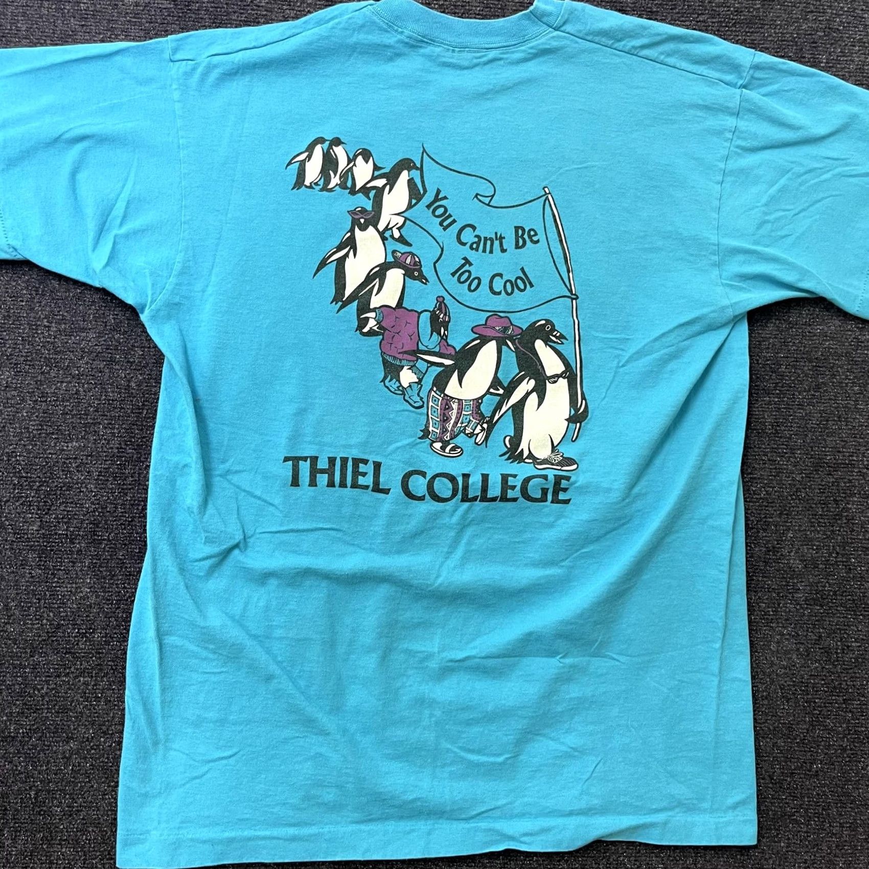 Fruit Of The Loom VINTAGE Thiel College Penguins Shirt Mens XL Blue Size US XL / EU 56 / 4 - 5 Thumbnail