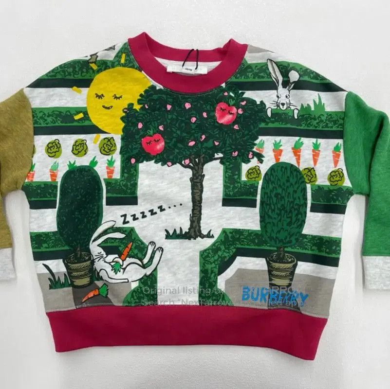 Burberry Colorful Cotton Sweatshirt for Women.