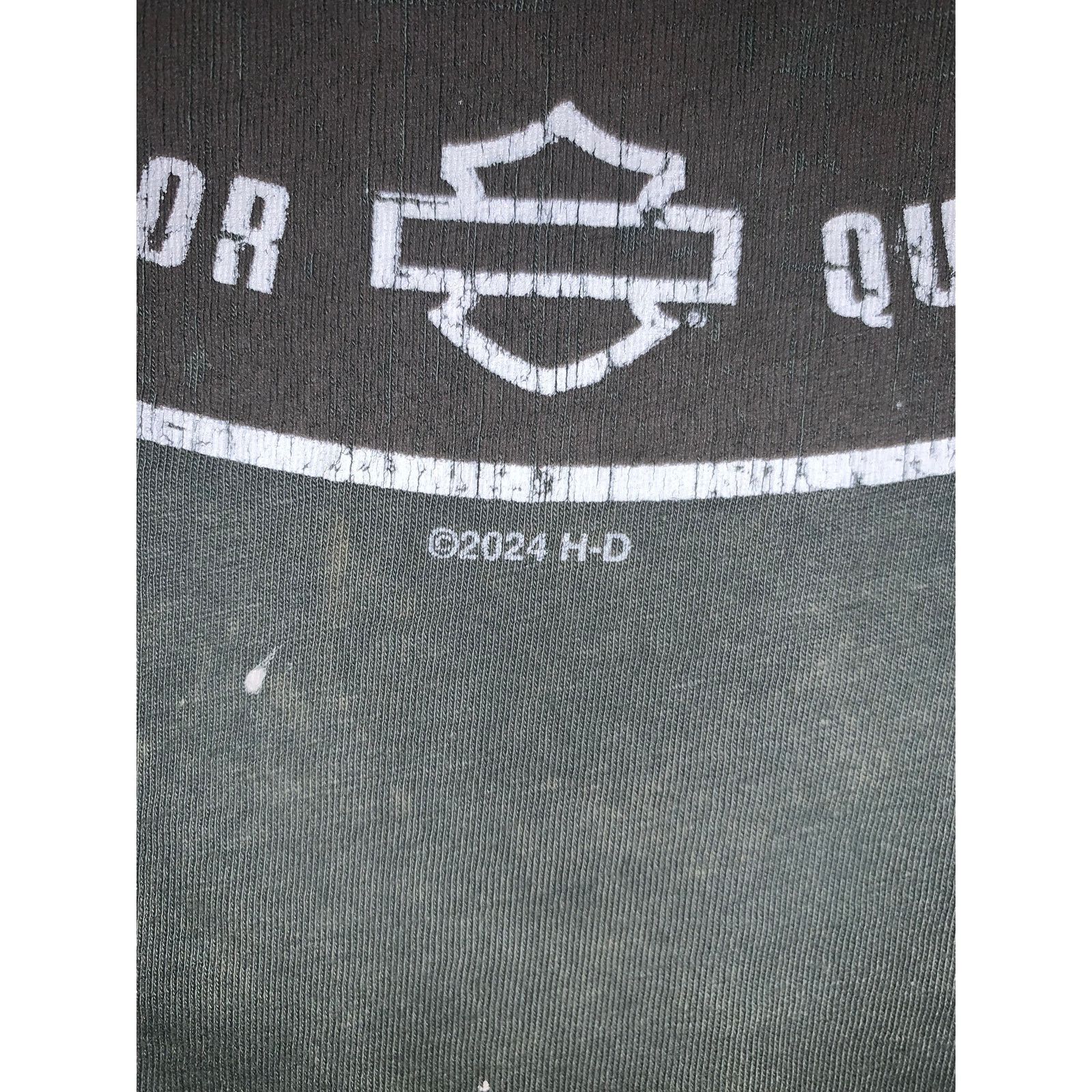 Harley Davidson Harley Davidson Black Hills Rapid City SD T Shirt Medium Size US L / EU 52-54 / 3 - 8 Thumbnail