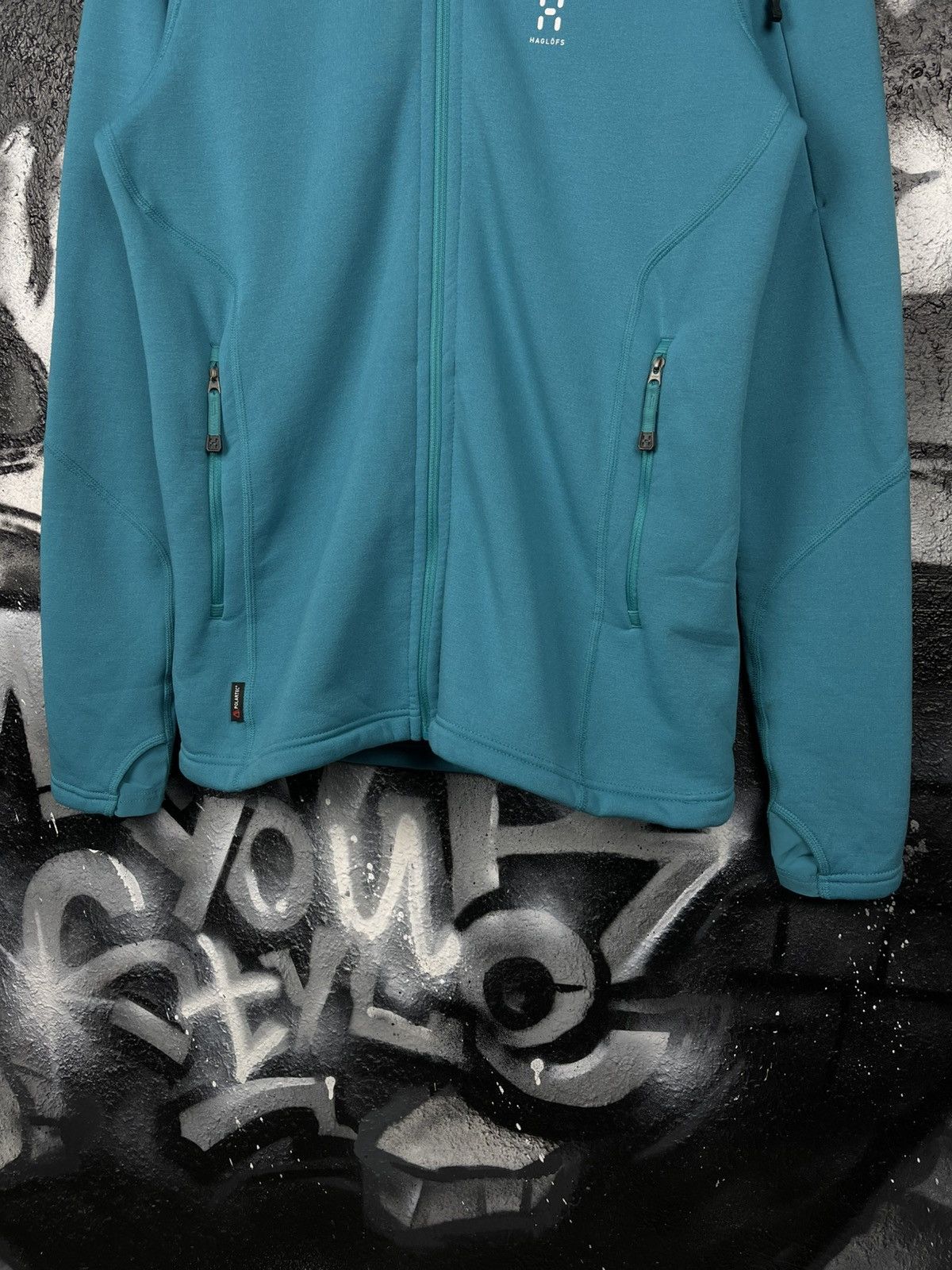 Haglofs Haglofs Polartec Hiking Fleece Jacket Women’s Size L Size L / US 10 / IT 46 - 4 Thumbnail