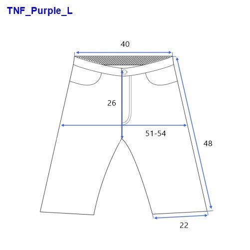 The North Face Purple Label The North Face Purple Label Shorts Webbing Belt Mens Size 30 Size US 30 / EU 46 - 2 Thumbnail