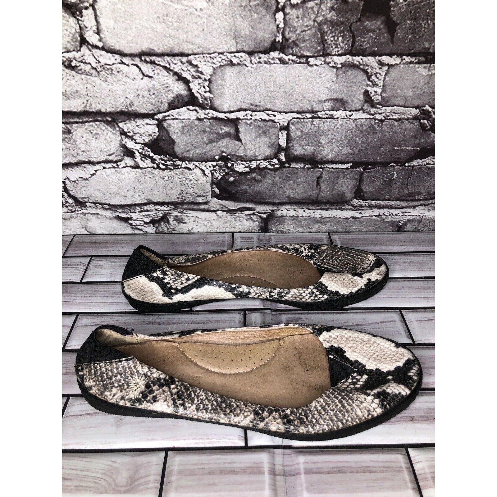 Tommy Bahama Tommy Bahama Odesa Ivory Black Leather Snake Skin Ballet Fla Size US 8 / IT 38 - 1 Thumbnail